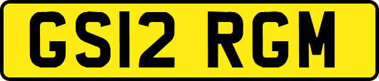 GS12RGM