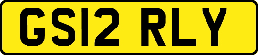 GS12RLY
