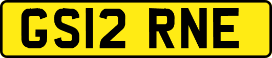 GS12RNE