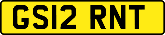 GS12RNT