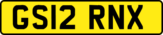 GS12RNX