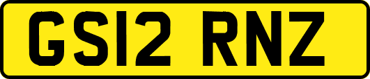 GS12RNZ
