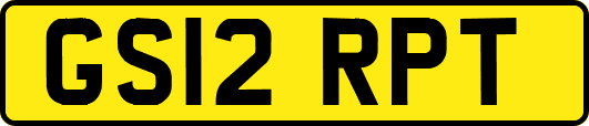GS12RPT