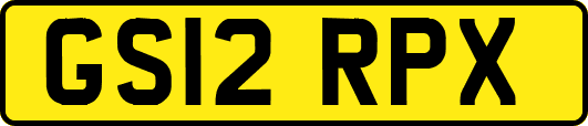 GS12RPX