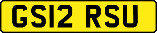 GS12RSU