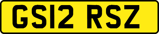 GS12RSZ