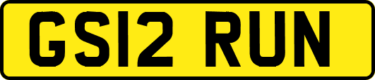 GS12RUN