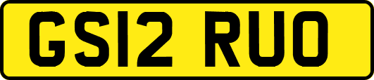 GS12RUO