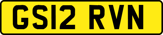 GS12RVN
