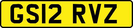 GS12RVZ