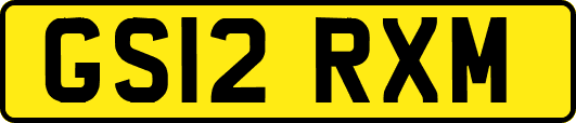 GS12RXM