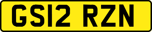 GS12RZN