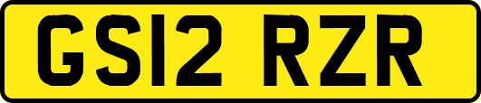GS12RZR