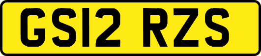GS12RZS