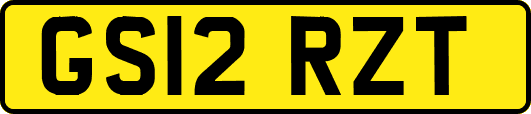 GS12RZT
