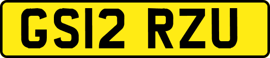 GS12RZU