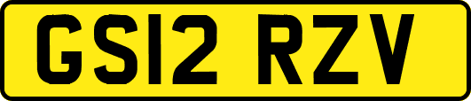 GS12RZV