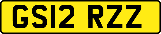 GS12RZZ