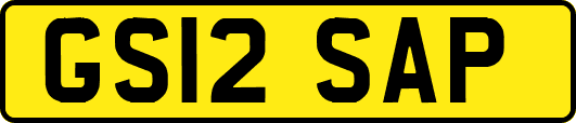 GS12SAP