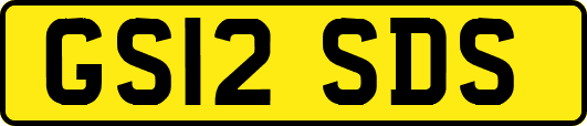 GS12SDS