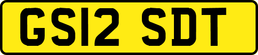 GS12SDT