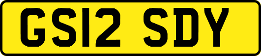 GS12SDY
