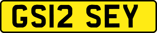 GS12SEY
