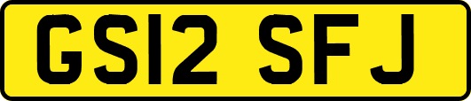 GS12SFJ