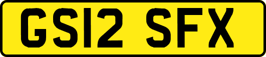GS12SFX