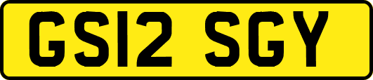 GS12SGY