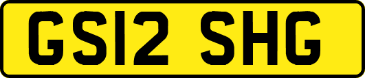 GS12SHG