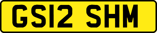 GS12SHM