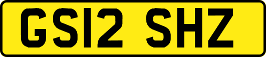 GS12SHZ