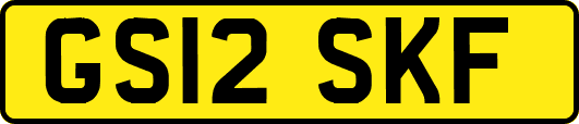 GS12SKF