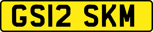 GS12SKM