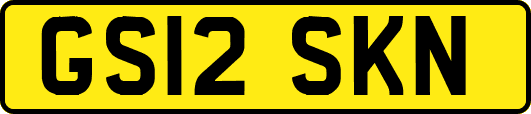 GS12SKN