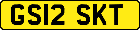 GS12SKT