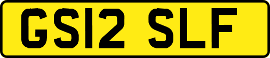 GS12SLF
