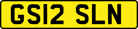 GS12SLN