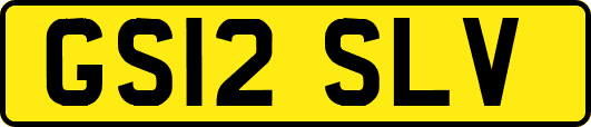 GS12SLV