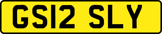 GS12SLY