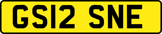 GS12SNE