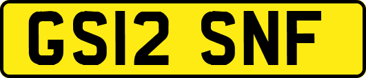 GS12SNF