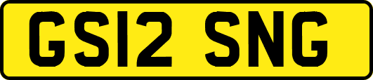 GS12SNG