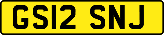 GS12SNJ
