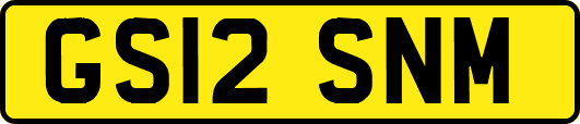 GS12SNM