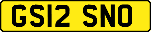 GS12SNO