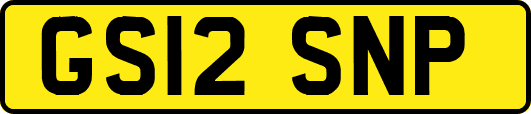 GS12SNP