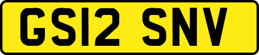 GS12SNV