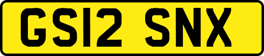 GS12SNX